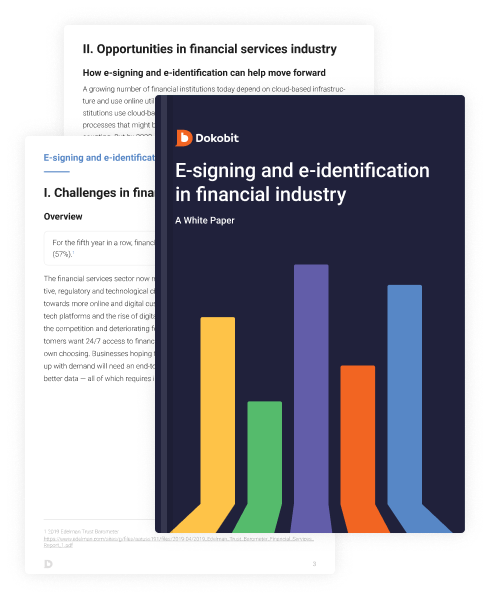 Thumbnail pages of Financial Teams and GoPaperless: A White Paper